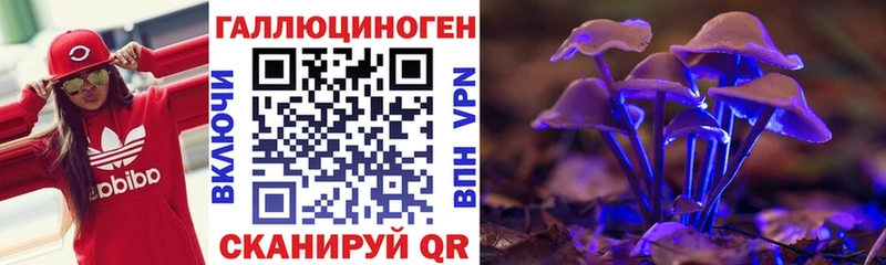 Псилоцибиновые грибы мицелий darknet какой сайт Сегежа